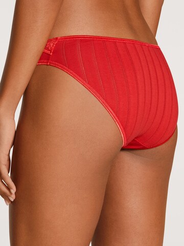 CALIDA Regular Panty 'Etude Toujours' in Red