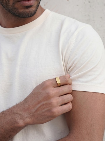 Akitsune Ring 'Fortis'‌‌‌‌‌‌ in Gold