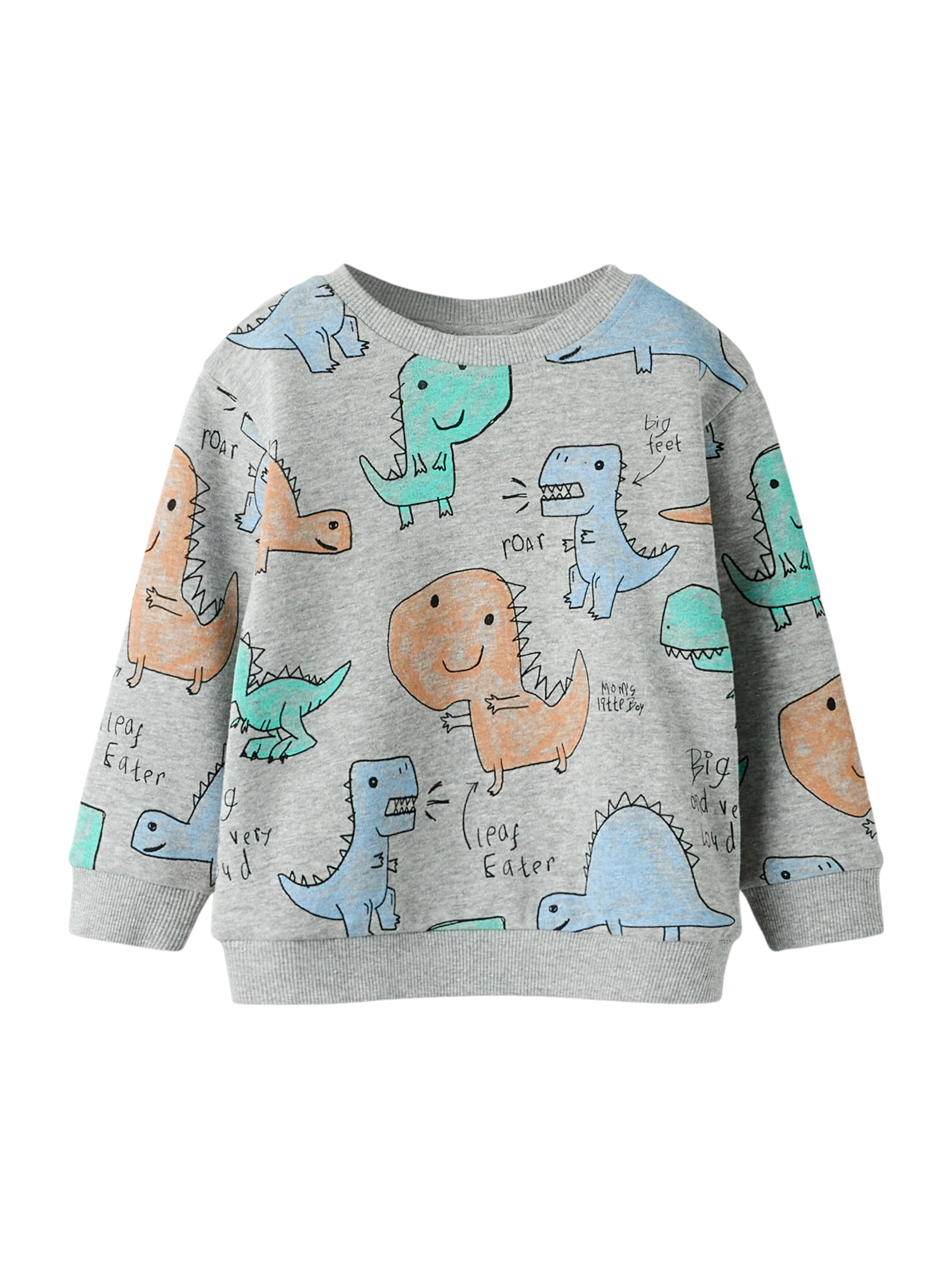 pelēks NAME IT Sportisks džemperis 'NMMSIKKO': no priekšpuses