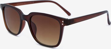 Lunettes de soleil ECO Shades en marron