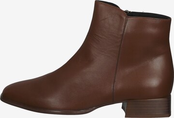 PETER KAISER Ankle Boots in Braun