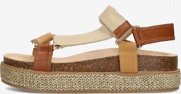 POSH by Poelman Sandalen met riem in Bruin: voorkant