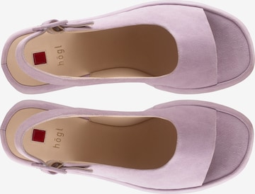 Högl Sandal 'LOULOU' in Purple