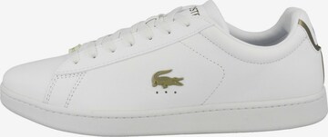 LACOSTE Σνίκερ χαμηλό 'Carnaby' σε λευκό