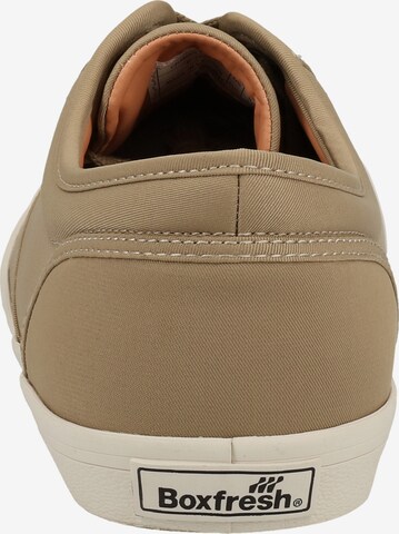 BOXFRESH Sneaker in Beige