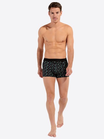 HOM Boxershorts 'Dizzy HO1' in Groen