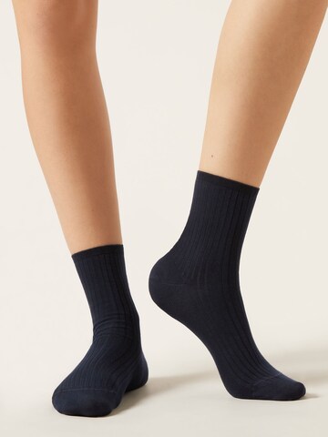 CALZEDONIA Socks in Blue