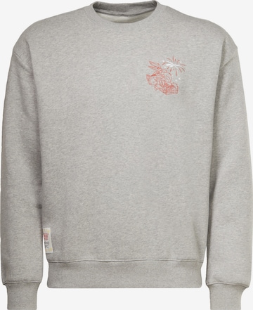 Reebok Sweatshirt 'Looney Tunes' in Grau: predná strana