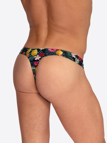 Maillot de bain ' BLU2553 Sunstring ' Olaf Benz en vert