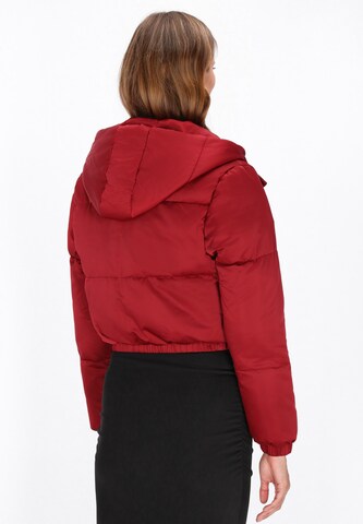 Geacă de iarnă de la faina pe roșu