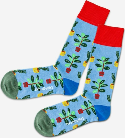 DillySocks Chaussettes en mélange de couleurs, Vue avec produit