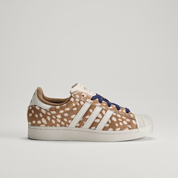 ADIDAS ORIGINALS Σνίκερ χαμηλό 'Superstar II' σε καφέ