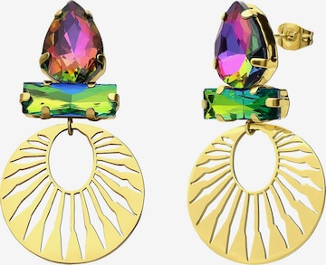 Lucardi Oorbellen in Goud: voorkant