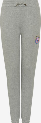 FC BAYERN MÜNCHEN Regular Pants 'FC Bayern München' in Grey: front