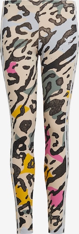 Coupe slim Leggings 'Animal Print' ADIDAS ORIGINALS en mélange de couleurs : devant