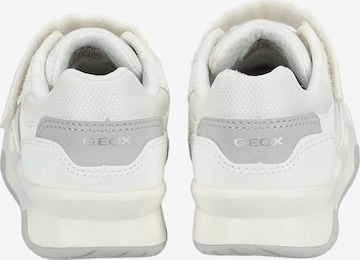 Sneaker di GEOX in bianco