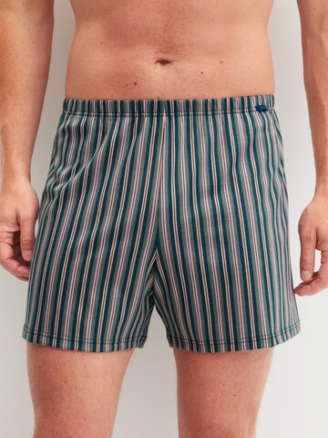 CALIDA Boxer shorts 'Prints' in Purple