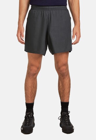 pilka ICEBREAKER Standartinis Kelnės 'M Mer 125 Cool-Lite Active 7': priekis