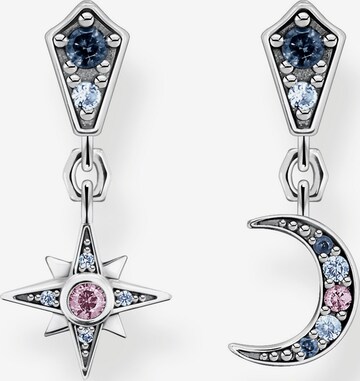 Thomas Sabo Earrings in Silver: front