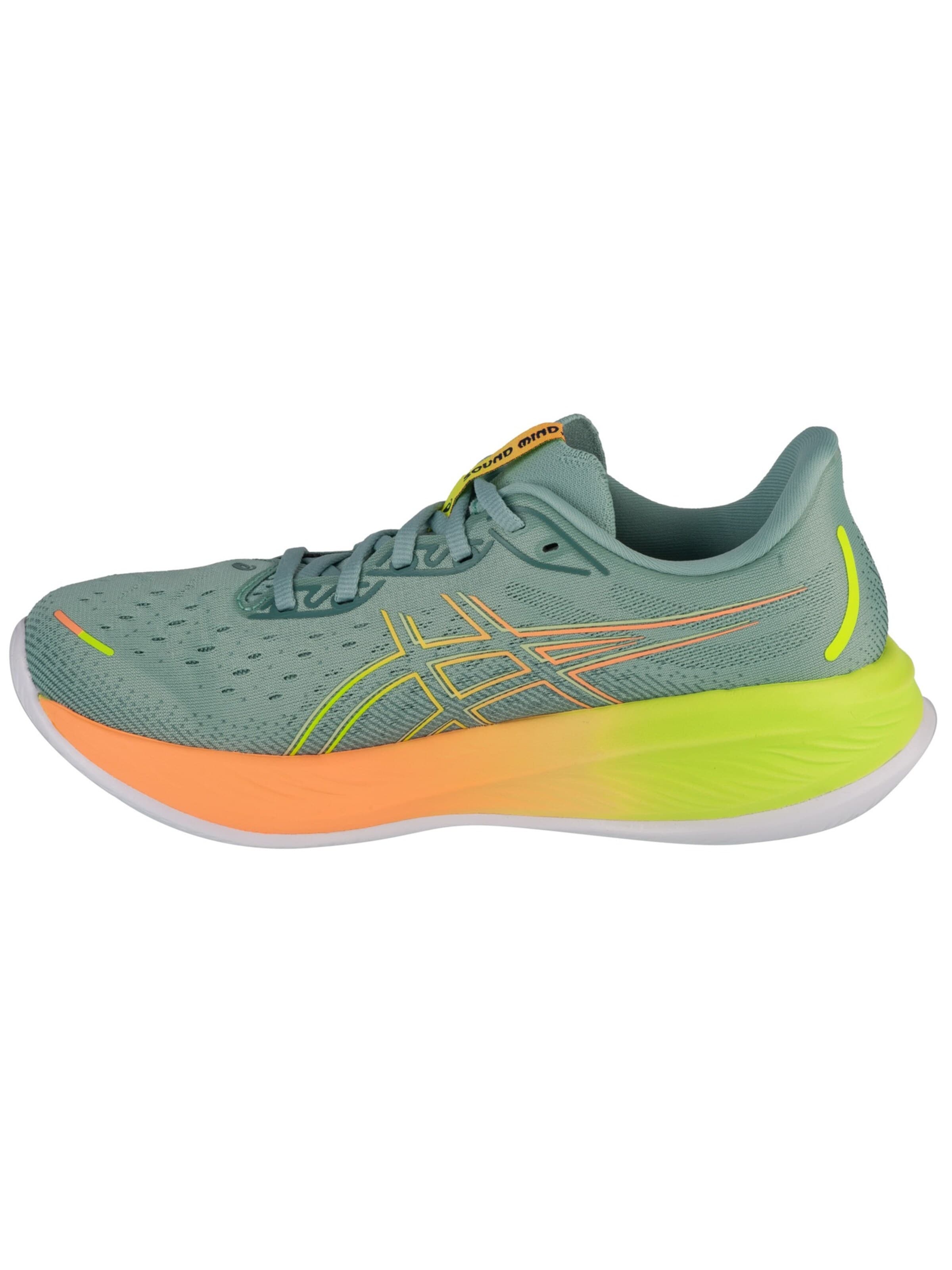 ASICS Laufschuh 'Gel-Cumulus 26 Paris'‌ in Grün