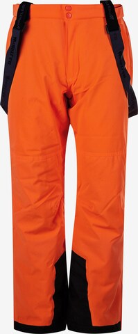 Whistler Regular Workout Pants 'GIPPSLANG' in Mixed colors: front