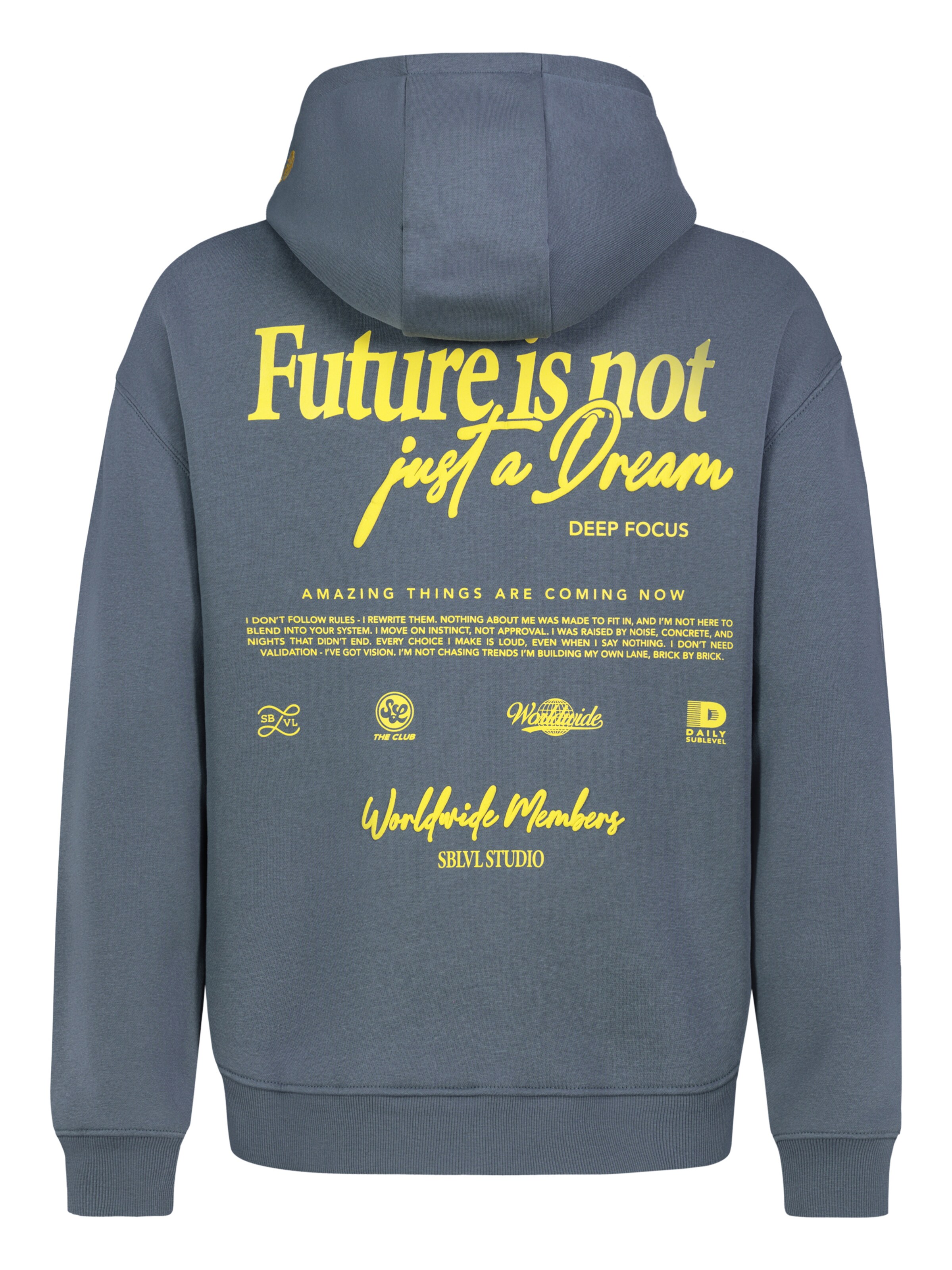 Sublevel Sweatshirt in Blau