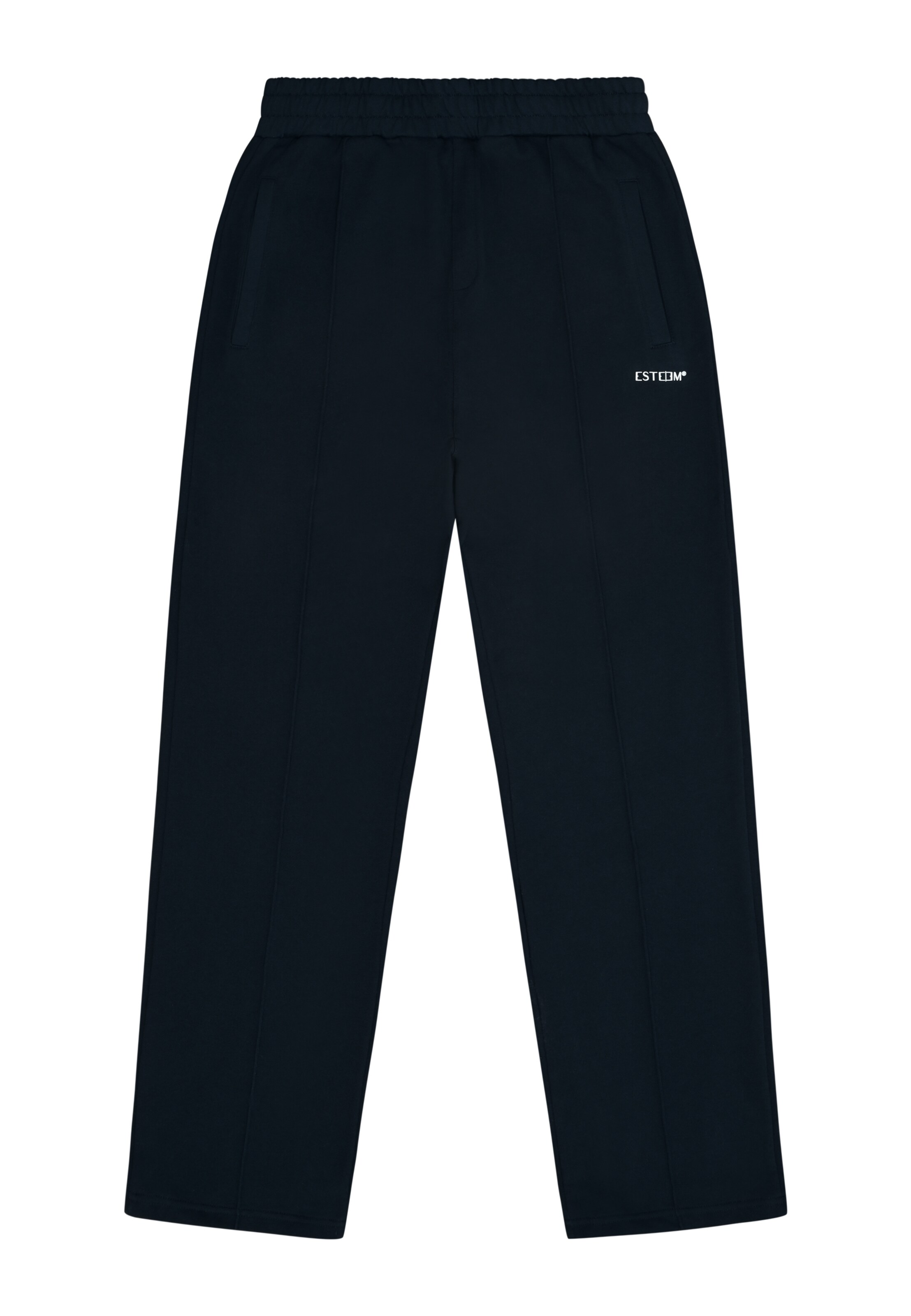 ESTEEM Pants in Blue: front