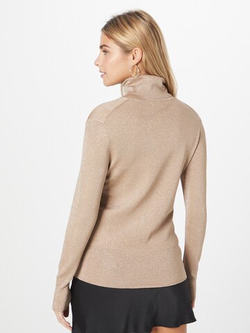 Calvin Klein Pullover in Braun