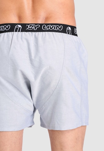 Lousy Livin Boxer shorts in Grey