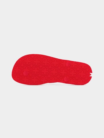 Tongs 'Adi Sun' ADIDAS ORIGINALS en rouge