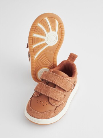 Sneaker di Next in marrone