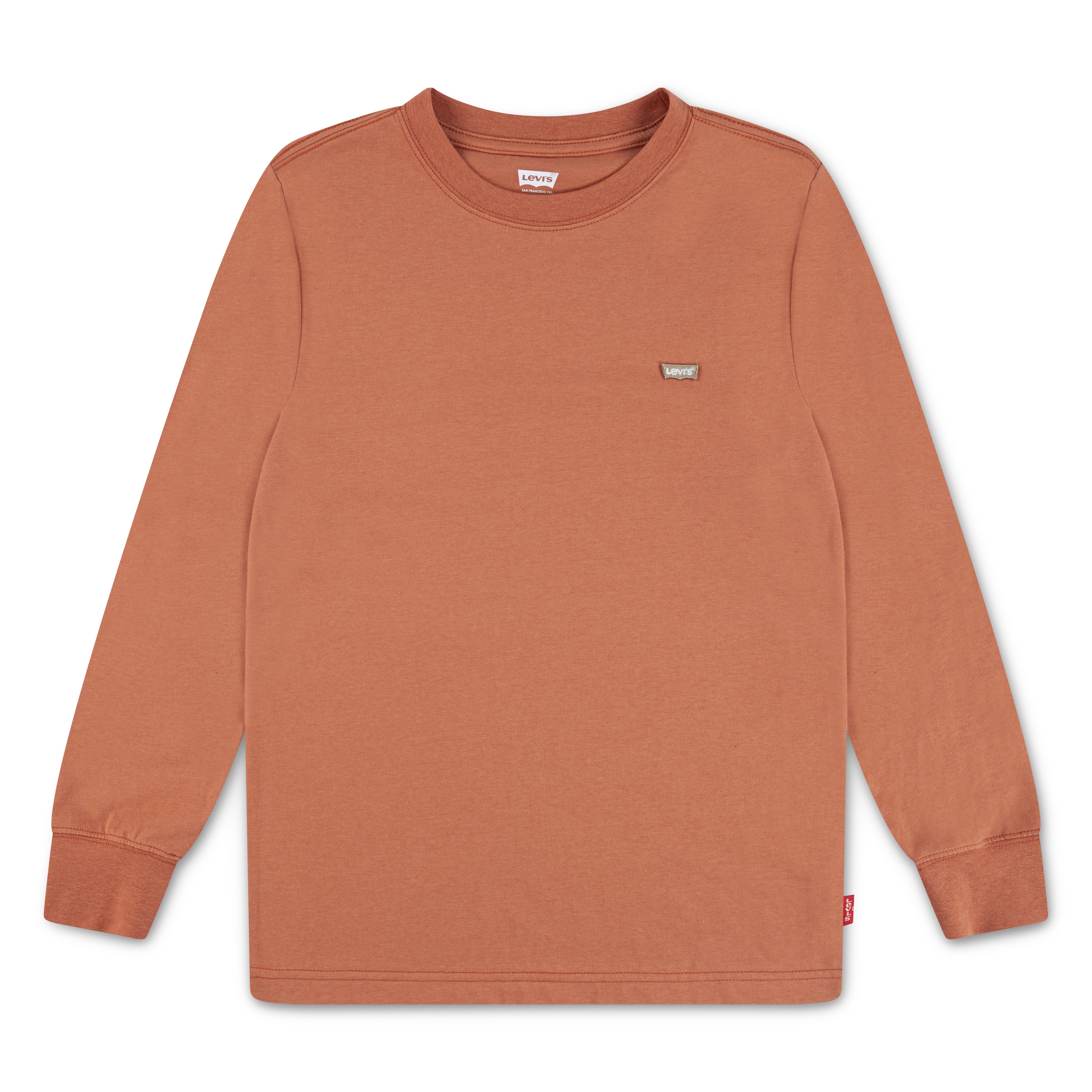 Levi's Kids Shirt in Brown: front