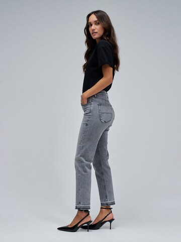 Regular Jean Salsa Jeans en gris