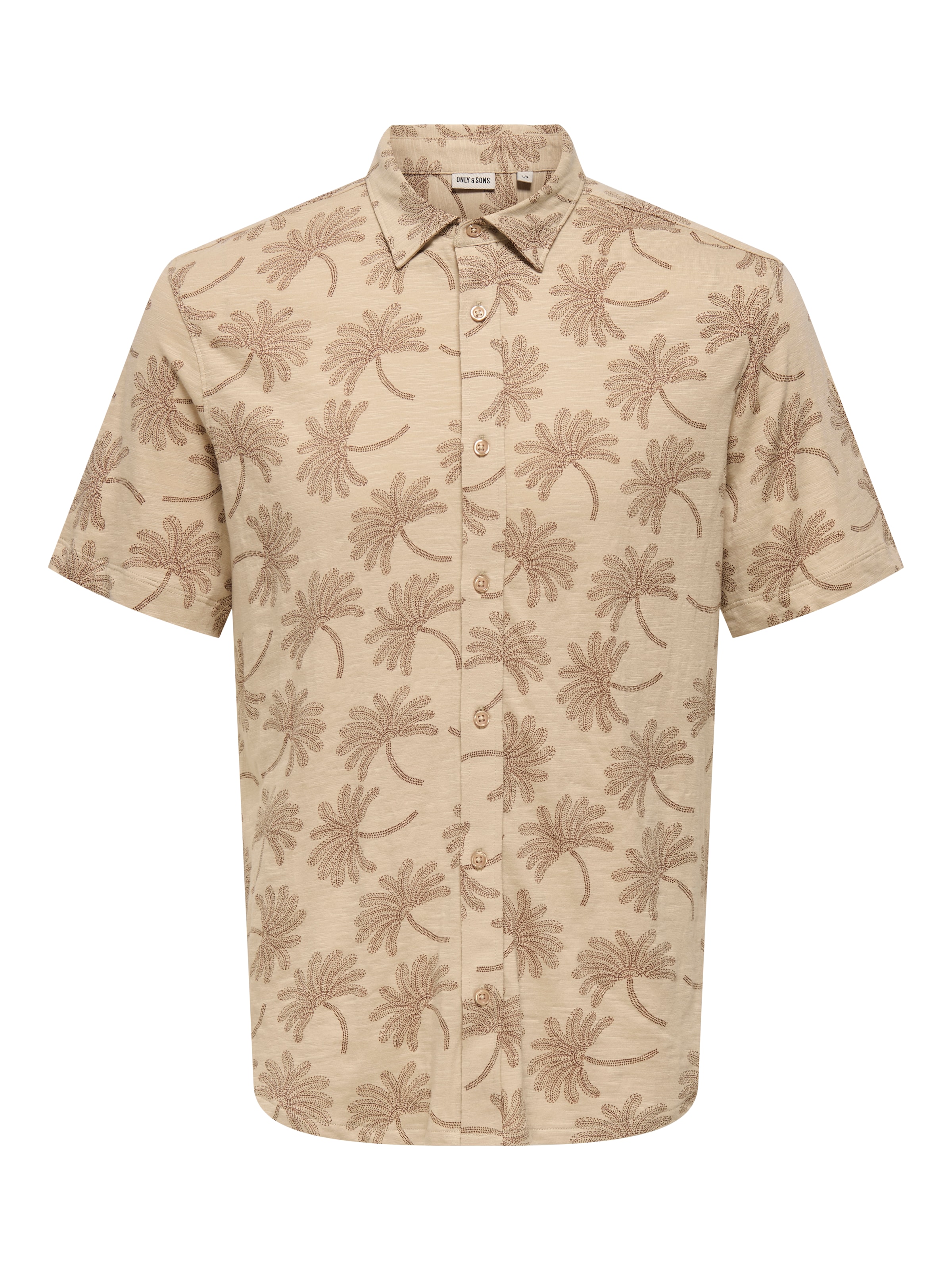 Only & Sons Regular fit Button Up Shirt 'ONSMALDINI' in Beige: front