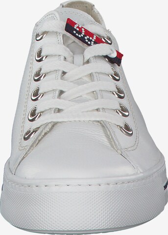 Paul Green Sneakers in White