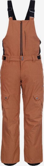 ICEPEAK Outdoor Pants ' Chster ' in Brown, Item view