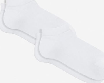 Albero Natur Socks 'Bio-Baumwoll-Sneakersocken Unisex - 2er Pack' in White: front