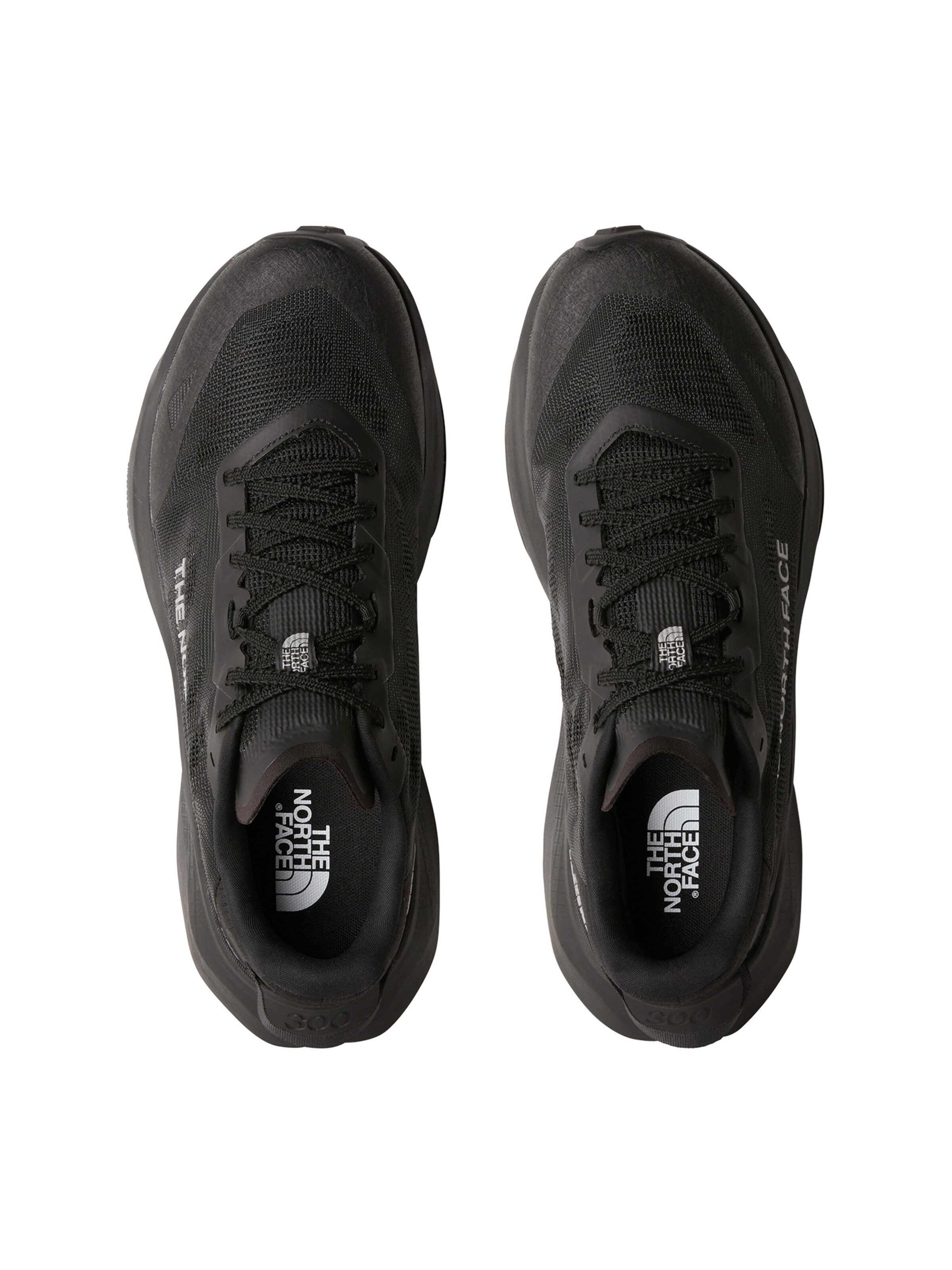 THE NORTH FACE Športni čevlji z vezalkami 'M ALTAMESA 300 V2' | črna barva