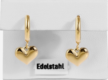 Akzent Earrings 'Feynarie, langlebig' in Gold: front