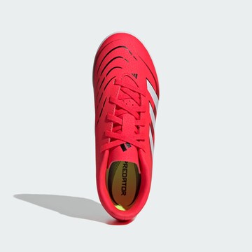 Scarpa sportiva 'Predator Club' di ADIDAS PERFORMANCE in rosso