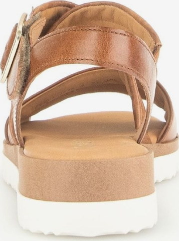 GABOR Strap Sandals in Brown