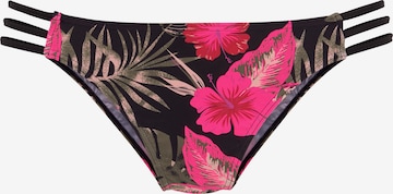 VENICE BEACH Bikini Bottoms 'Marly' in Black: front