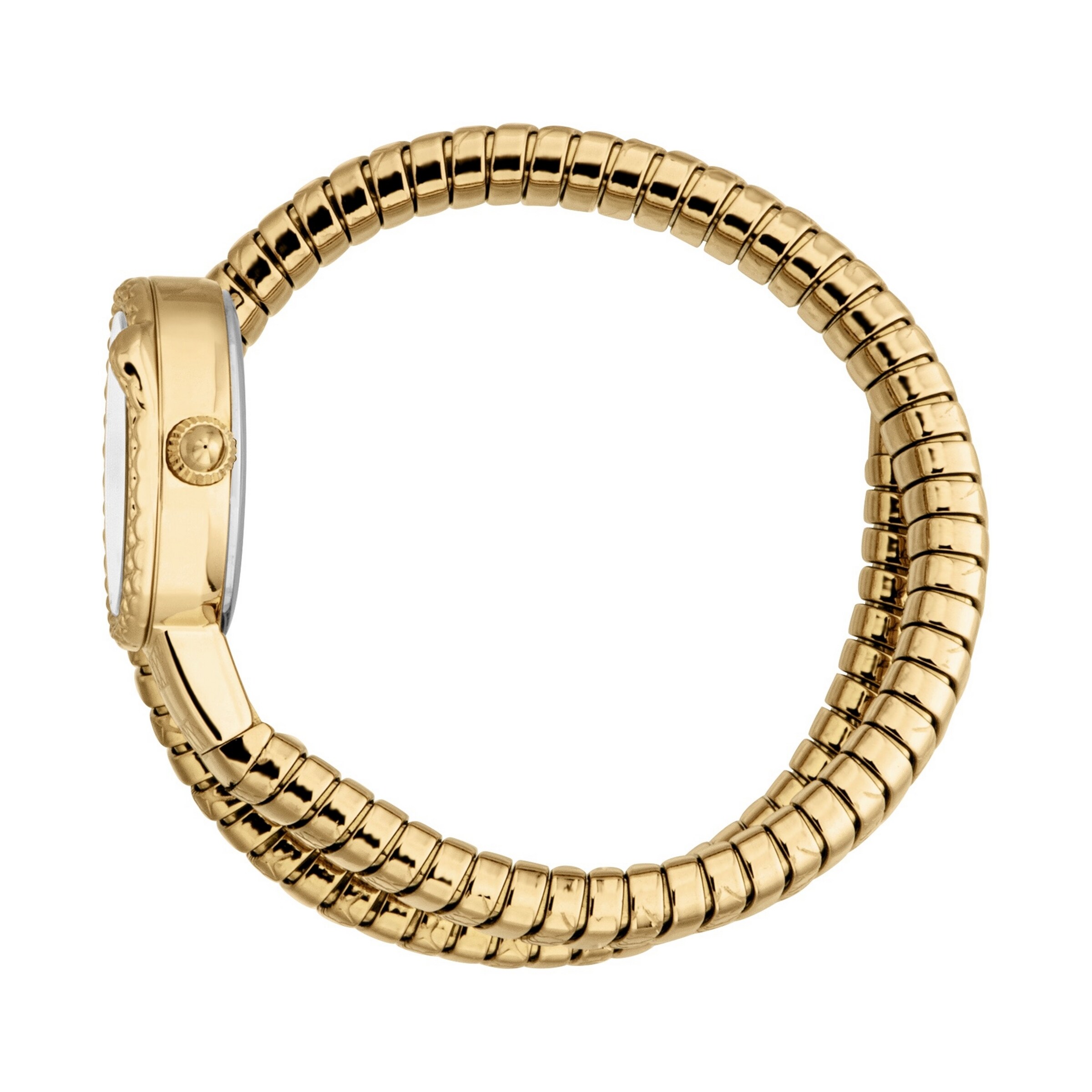 Just Cavalli Time Analog Watch in Gold