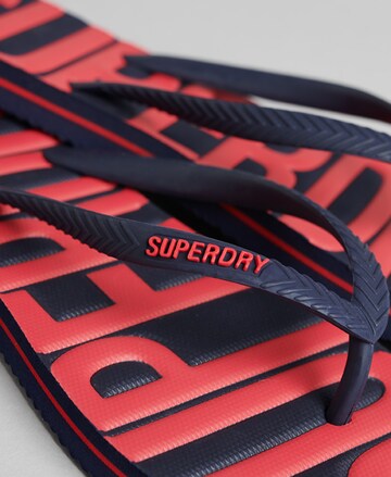 Tongs Superdry en bleu