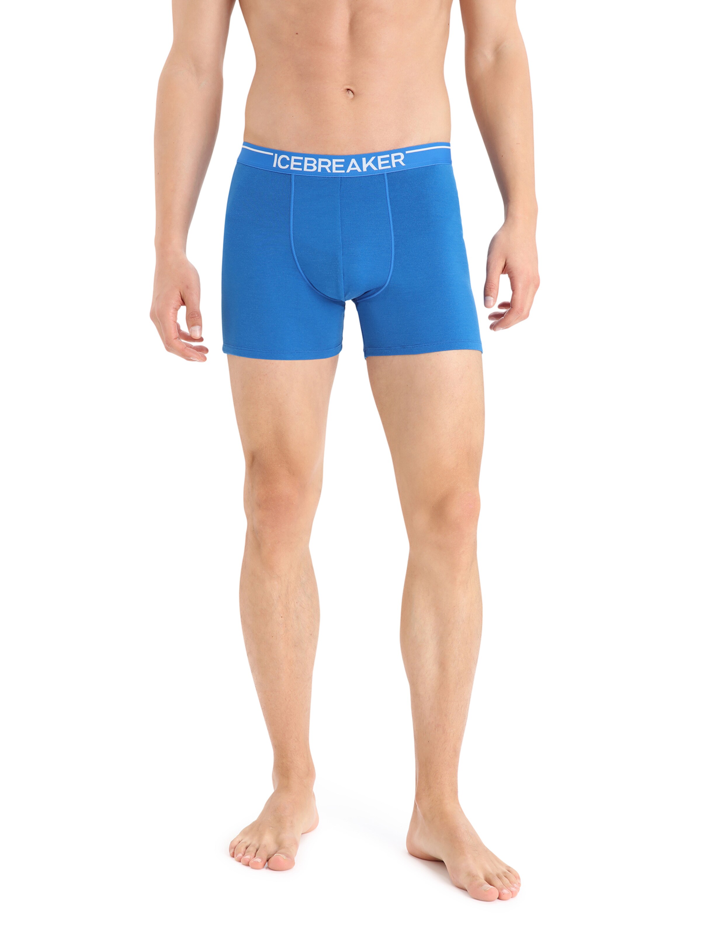 ICEBREAKER Athletic Underwear 'Anatomica' in Blue: front