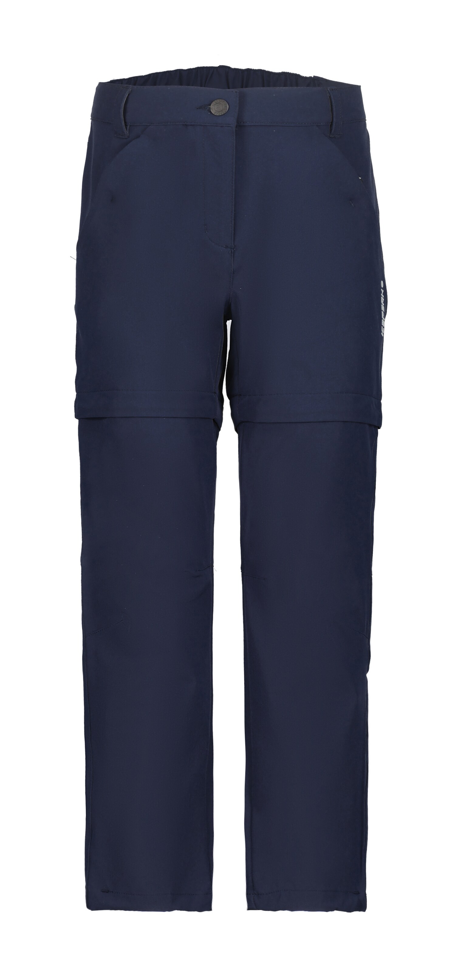 ICEPEAK Regular Outdoor Pants 'Kano' in Blue: front