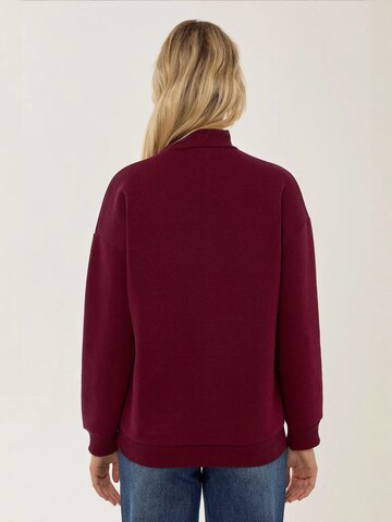 Hiccup Sweatshirt in Rot