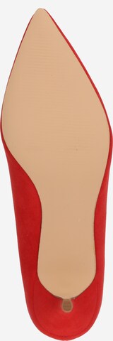 Décolleté di Dorothy Perkins in rosso