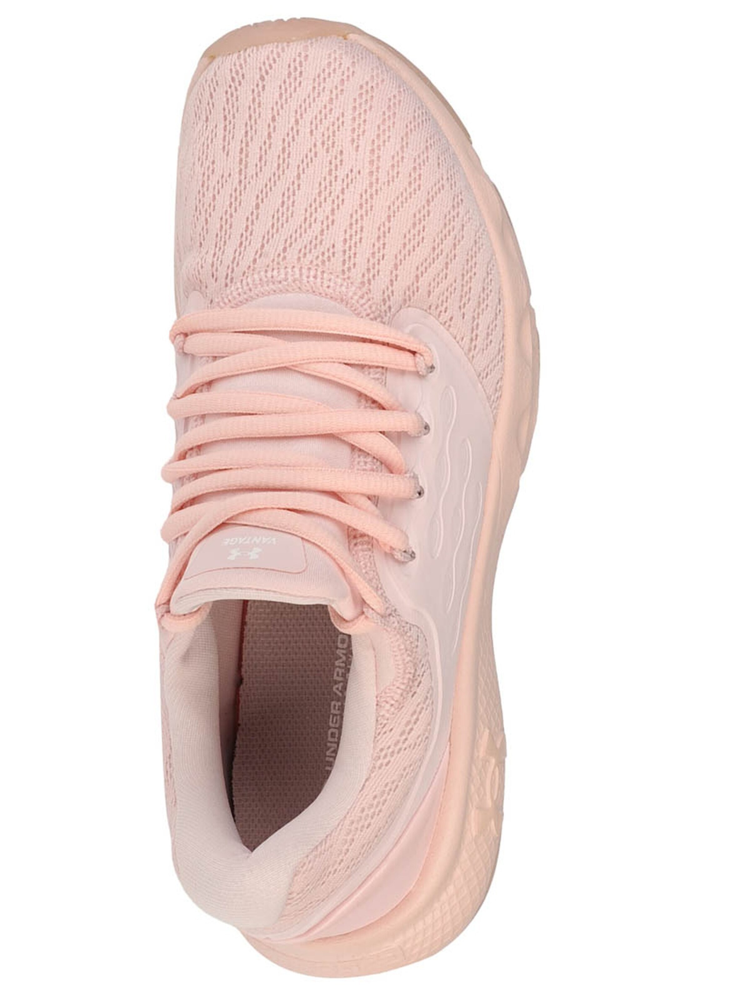 UNDER ARMOUR Laufschuh 'Charged Vantage'‌‌‌‌‌‌‌ in Pink