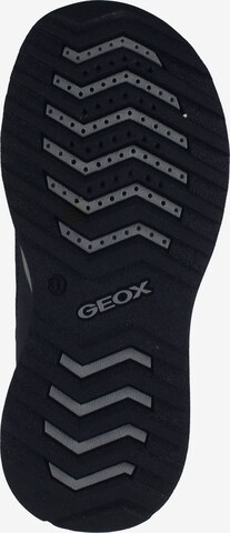 Stivale di GEOX in blu